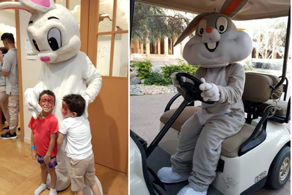 Bunny Rabbit Red Green Pink Gray Blue White