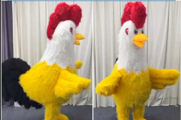 Yellow Chicken - Baby Shark Blue - Green Crocodile