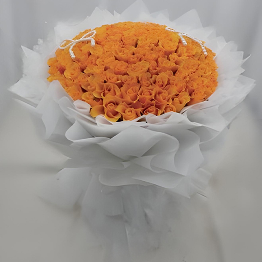 101 ORANGE ROSES