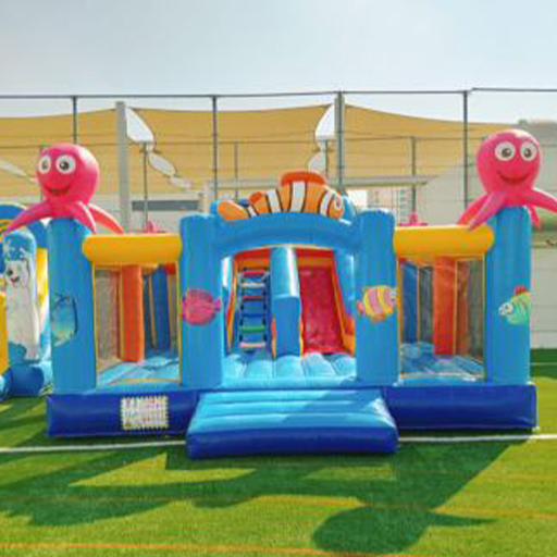 Double Fun Bouncy Slide