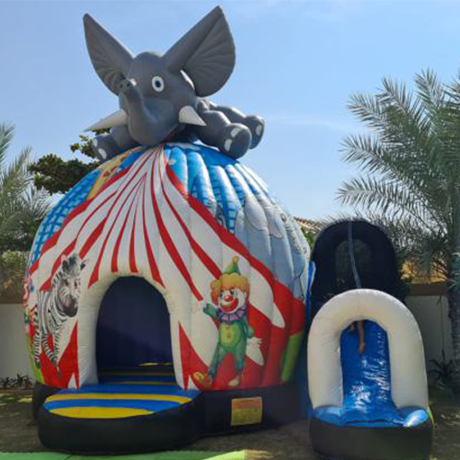 Royal Bouncy Castle