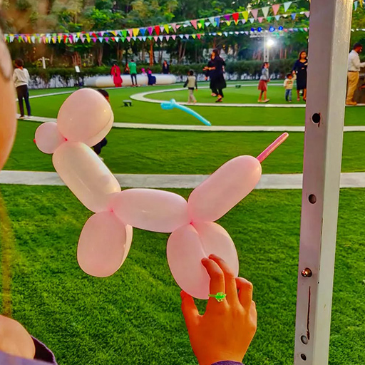 Entertaining Game Host for Outdoor Fun